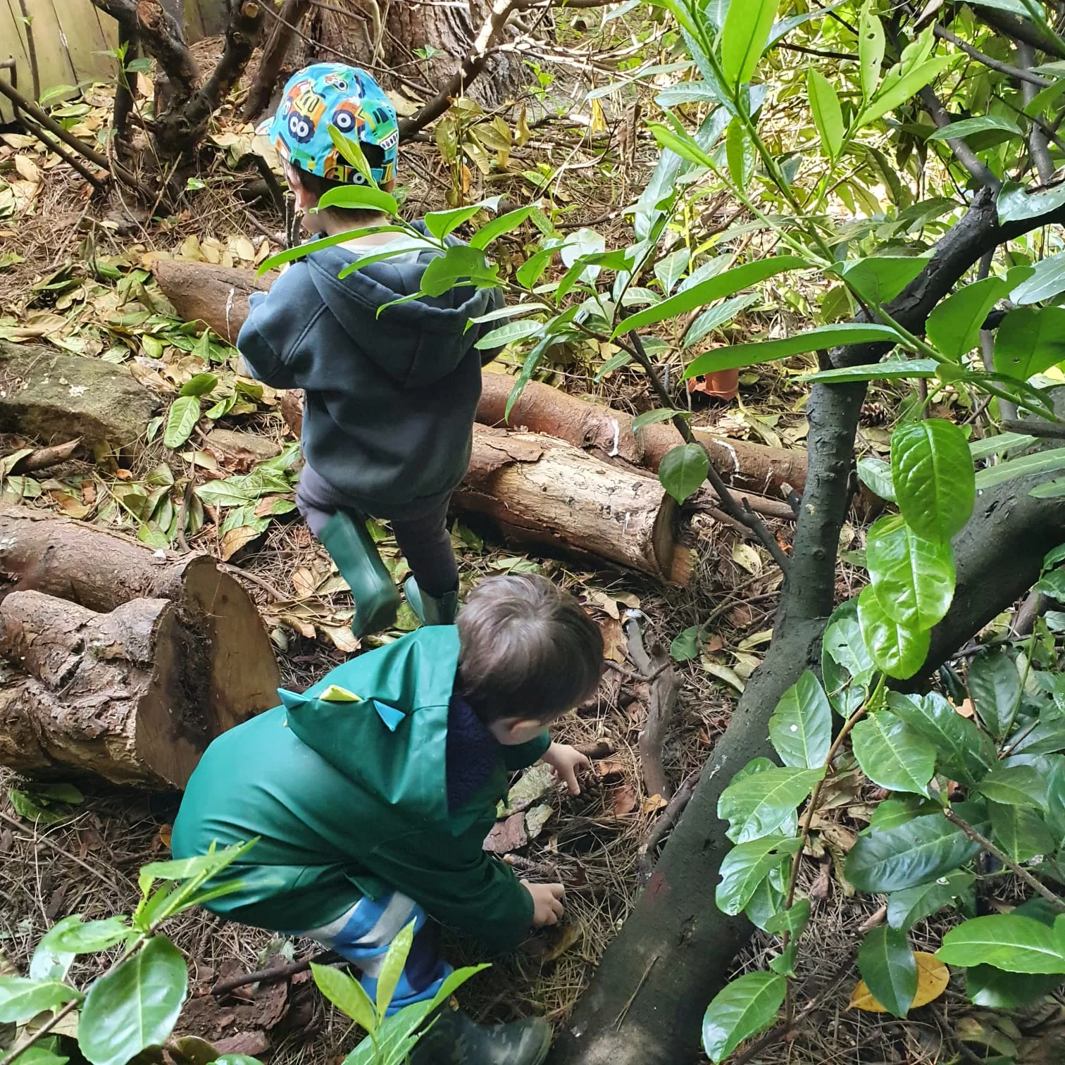 A Riverside child balancing and exploring on logs outdoors